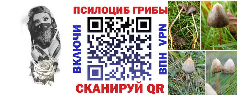 Псилоцибиновые грибы GOLDEN TEACHER  Чехов 